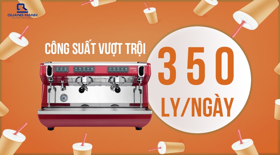 Máy pha cà phê chuyên nghiệp 2